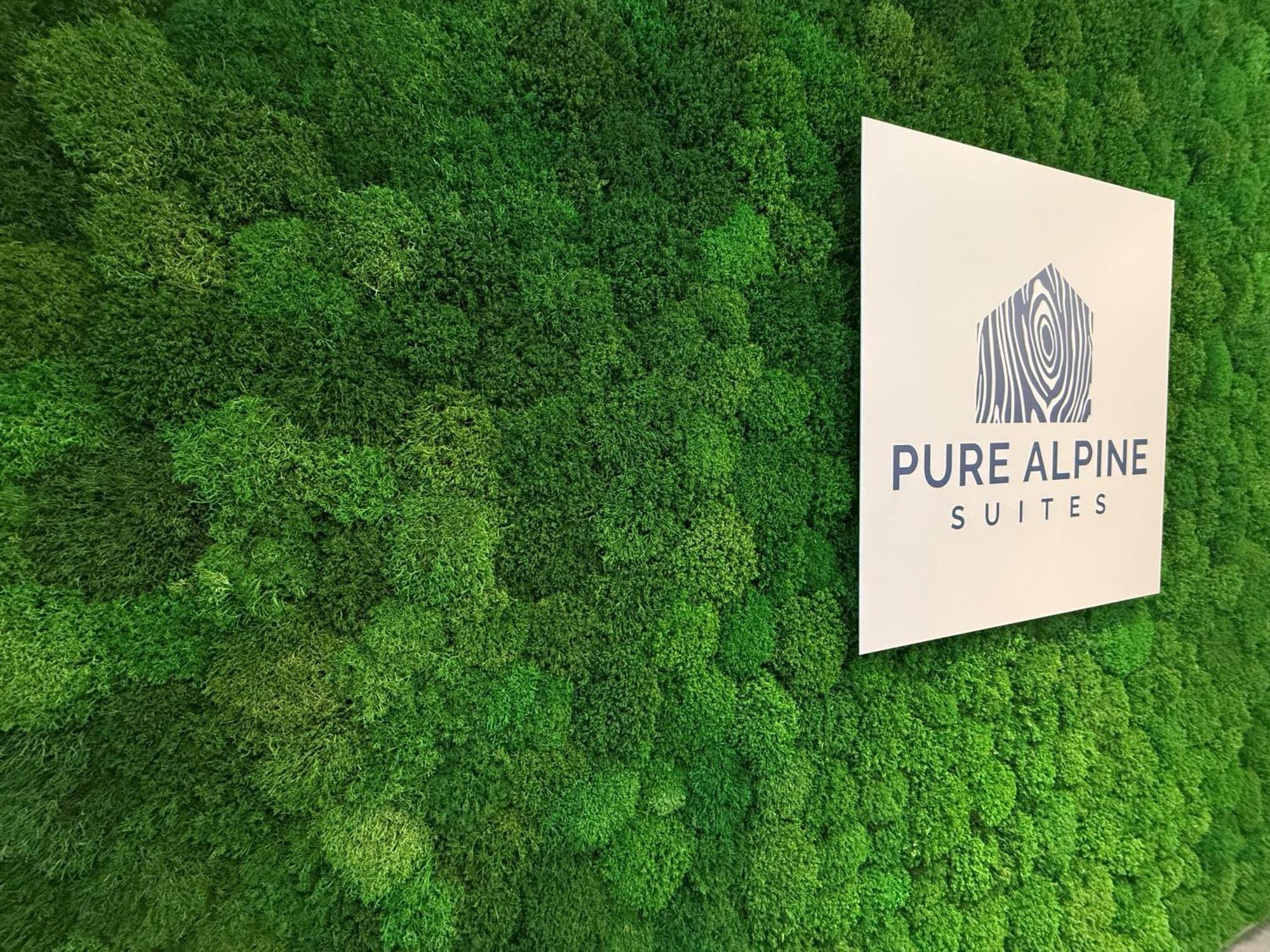 Pure Alpine Suites Schladming Eksteriør bilde
